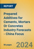 Prepared Additives for Cements, Mortars or Concretes Industry Forecasts - China Focus- Product Image