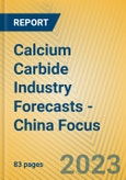 Calcium Carbide Industry Forecasts - China Focus- Product Image