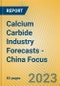 Calcium Carbide Industry Forecasts - China Focus - Product Image