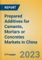 Prepared Additives for Cements, Mortars or Concretes Markets in China - Product Image