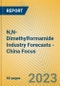 N,N-Dimethylformamide Industry Forecasts - China Focus - Product Image