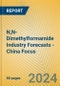 N,N-Dimethylformamide Industry Forecasts - China Focus - Product Image