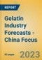 Gelatin Industry Forecasts - China Focus - Product Image