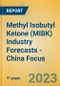 Methyl Isobutyl Ketone (MIBK) Industry Forecasts - China Focus - Product Image