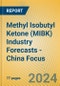 Methyl Isobutyl Ketone (MIBK) Industry Forecasts - China Focus - Product Thumbnail Image