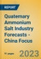 Quatemary Ammonium Salt Industry Forecasts - China Focus - Product Thumbnail Image