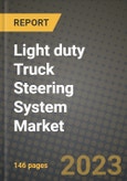 Light duty Truck Steering System Market - Revenue, Trends, Growth Opportunities, Competition, COVID-19 Strategies, Regional Analysis and Future Outlook to 2030 (By Products, Applications, End Cases)- Product Image