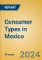 Consumer Types in Mexico - Product Image