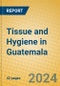 Tissue and Hygiene in Guatemala - Product Image