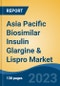 Asia Pacific Biosimilar Insulin Glargine & Lispro Market, By End User (Type 1 Diabetes and Type 2 Diabetes), By Country (Japan, China, India, South Korea, Bangladesh, Pakistan), Competition, Forecast & Opportunities, 2024 - Product Thumbnail Image