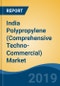 India Polypropylene (Comprehensive Techno-Commercial) Market Analysis, 2013-2030 - Product Thumbnail Image