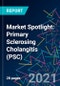 Market Spotlight: Primary Sclerosing Cholangitis (PSC) - Product Thumbnail Image