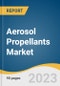 Aerosol Propellants Market Size, Share & Trends Analysis Report By Product (Hydrocarbons, DME, Nitrous Oxide & Carbon Dioxide), By Application, By Region And Segment Forecasts, 2023 - 2030 - Product Image