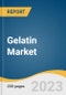 Gelatin Market Size, Share & Trends Analysis Report By Source (Bovine, Porcine), By Function (Stabilizer, Thickener), By Application (Food & Beverages, Healthcare), By Region, And Segment Forecasts, 2023 - 2030 - Product Image