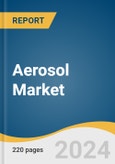 Aerosol Market Size, Share & Trends Analysis Report by Material (Steel, Aluminum), by Type (Bag-In-Valve, Standard), by Application (Personal Care, Household), by Region (EU, APAC), and Segment Forecasts, 2022-2030- Product Image