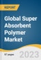 Global Super Absorbent Polymer Market Size, Share & Trends Analysis Report by Application (Personal Hygiene, Agriculture, Medical, Industrial), Type (Sodium Polyacrylate, Polyacrylate/Polyacrylamide), Region, and Segment Forecasts, 2024-2030 - Product Image