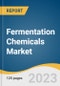 Fermentation Chemicals Market Size, Share & Trends Analysis Report By Application (Plastics & Fibers, Industrial), By Product (Organic Acids, Alcohols), By Region (Asia Pacific, North America), And Segment Forecasts, 2023 - 2030 - Product Image