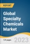 Global Specialty Chemicals Market Size, Share & Trends Analysis Report by Product (Institutional & Industrial Cleaners, Flavor & Fragrances, Food & Feed Additives), Region, and Segment Forecasts, 2024-2030 - Product Image