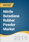 Nitrile Butadiene Rubber (NBR) Powder Market Size, Share & Trends Analysis Report by Product (Linear, Crosslinked), by Application (PVC Modification, Automotive, Construction), and Segment Forecasts, 2019 - 2025 - Product Thumbnail Image