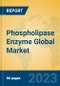 Phospholipase Enzyme Global Market Insights 2023, Analysis and Forecast to 2028, by Manufacturers, Regions, Technology, Application, Product Type - Product Thumbnail Image