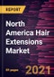 North America Hair Extensions Market Forecast to 2028 - COVID-19 Impact and Regional Analysis By Product Type (Tape-in, Fusion and Pre-bonded, Clip-in, and Others), Source (Human Hair, and Synthetic), End User (Men, and Women) - Product Thumbnail Image