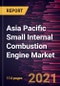 Asia Pacific Small Internal Combustion Engine Market Forecast to 2027 - COVID-19 Impact and Regional Analysis By Fuel Type, Cylinders, Power Output, and End-Use Industry - Product Thumbnail Image