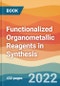 Functionalized Organometallic Reagents in Synthesis - Product Thumbnail Image