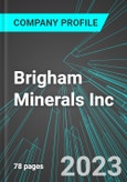 Brigham Minerals Inc (MNRL:NYS): Analytics, Extensive Financial Metrics, and Benchmarks Against Averages and Top Companies Within its Industry- Product Image