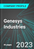 Genesys Industries (GEIN:PINX): Analytics, Extensive Financial Metrics, and Benchmarks Against Averages and Top Companies Within its Industry- Product Image
