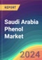 Saudi Arabia Phenol Market Analysis Plant Capacity, Production, Operating Efficiency, Technology, Demand & Supply, End User Industries, Distribution Channel, Region-Wise Demand, Import & Export , 2015-2030 - Product Thumbnail Image