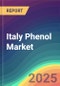 Italy Phenol Market Analysis Plant Capacity, Production, Operating Efficiency, Technology, Demand & Supply, End User Industries, Distribution Channel, Region-Wise Demand, Import & Export , 2015-2030 - Product Thumbnail Image