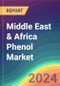 Middle East & Africa Phenol Market Analysis, Plant Capacity, Production, Operating Efficiency, Technology, Demand & Supply, End User Industries, Distribution Channel, Regional Demand, Import & Export, 2015-2030 - Product Image