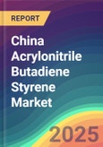 China Acrylonitrile Butadiene Styrene Market Analysis: Capacity By Companyby Company, Operating Efficiency, Capacity By Process, Capacity By Technology, Demand By Sales Channel, Demand By End Use, Demand By Region, Company Share, Foreign Trade 2015-2030- Product Image