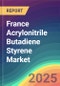 France Acrylonitrile Butadiene Styrene Market Analysis: Capacity By Company, Capacity By Location, Production By Company, Operating Efficiency, Capacity By Process, 2015-2030 - Product Thumbnail Image