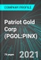 Patriot Gold Corp (PGOL:PINX): Analytics, Extensive Financial Metrics, and Benchmarks Against Averages and Top Companies Within its Industry - Product Thumbnail Image