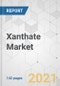 Xanthate Market - Global Industry Analysis, Size, Share, Growth, Trends, and Forecast, 2021-2031 - Product Thumbnail Image