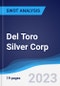 Del Toro Silver Corp - Strategy, SWOT and Corporate Finance Report - Product Thumbnail Image