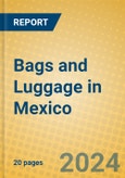 Bags and Luggage in Mexico- Product Image