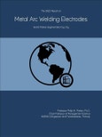 The 2022 Report on Metal Arc Welding Electrodes: World Market Segmentation by City- Product Image