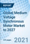 Global Medium Voltage Synchronous Motor Market to 2027 - Product Thumbnail Image