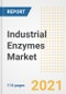 2021 Industrial Enzymes Market Outlook and Opportunities in the Post Covid Recovery - What's Next for Companies, Demand, Industrial Enzymes Market Size, Strategies, and Countries to 2028 - Product Image