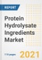 2021 Protein Hydrolysate Ingredients Market Outlook and Opportunities in the Post Covid Recovery - What's Next for Companies, Demand, Protein Hydrolysate Ingredients Market Size, Strategies, and Countries to 2028 - Product Image