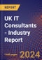 UK IT Consultants - Industry Report - Product Image