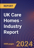 UK Care Homes - Industry Report- Product Image