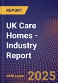 UK Care Homes - Industry Report- Product Image