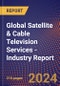 Global Satellite & Cable Television Services - Industry Report - Product Thumbnail Image