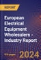 European Electrical Equipment Wholesalers - Industry Report - Product Thumbnail Image