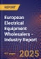 European Electrical Equipment Wholesalers - Industry Report - Product Thumbnail Image