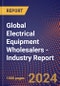 Global Electrical Equipment Wholesalers - Industry Report - Product Thumbnail Image