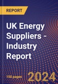 UK Energy Suppliers - Industry Report- Product Image